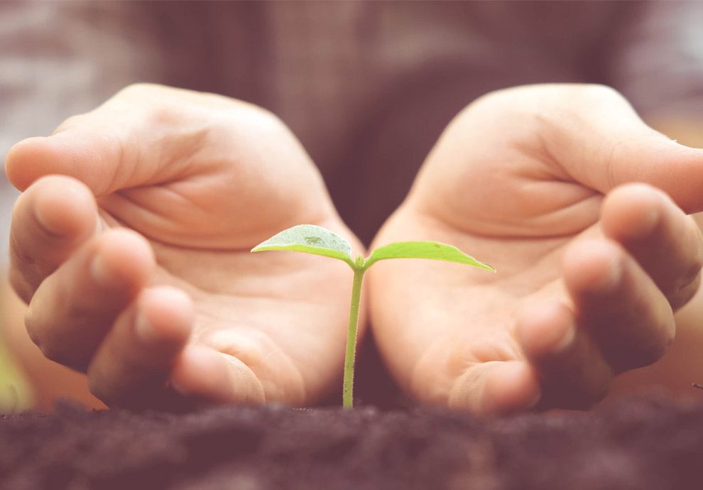 Lakossági hulladékgyűjtés